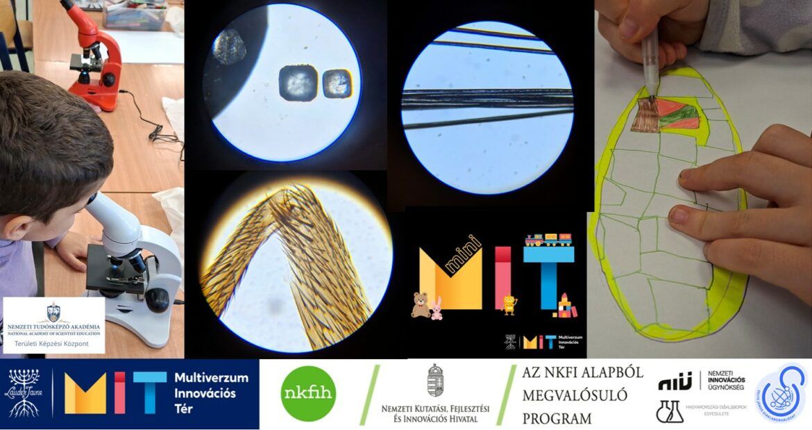 miniMIT #41 Légylábmegfigyelésen a méhecskék