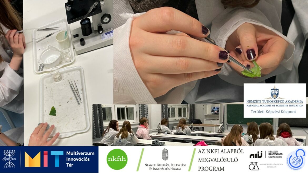 Nemzeti Tudósképző Akadémia: Házon kívül #2 – növényszövettani vizsgálatok a Radnótiban