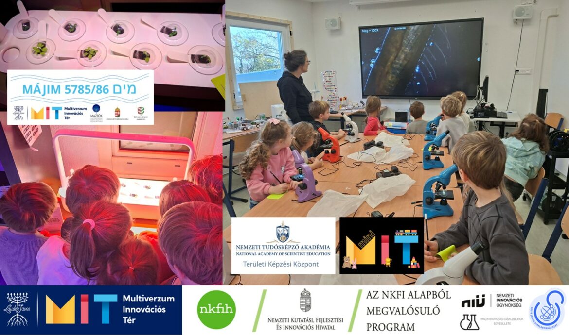 miniMIT #43 Közösségi kertészet és a negyedik légyláb