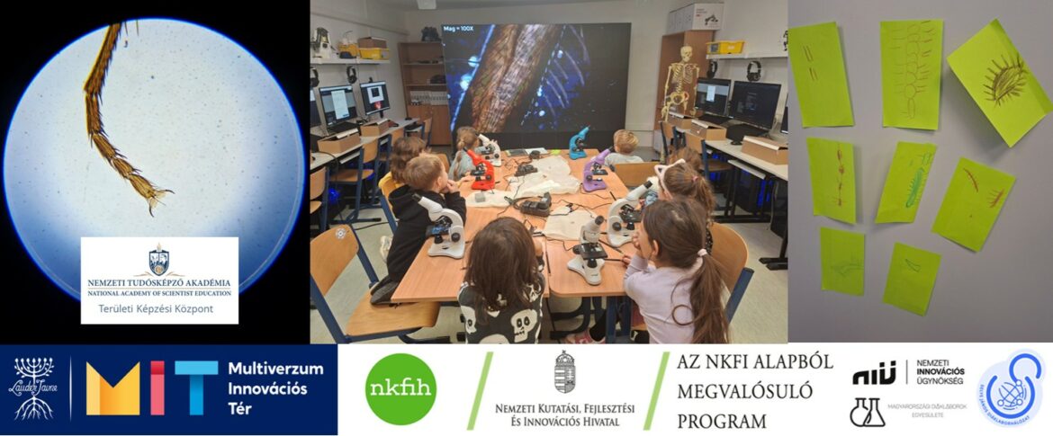 miniMIT #42 Mit látunk a mikroszkópban?