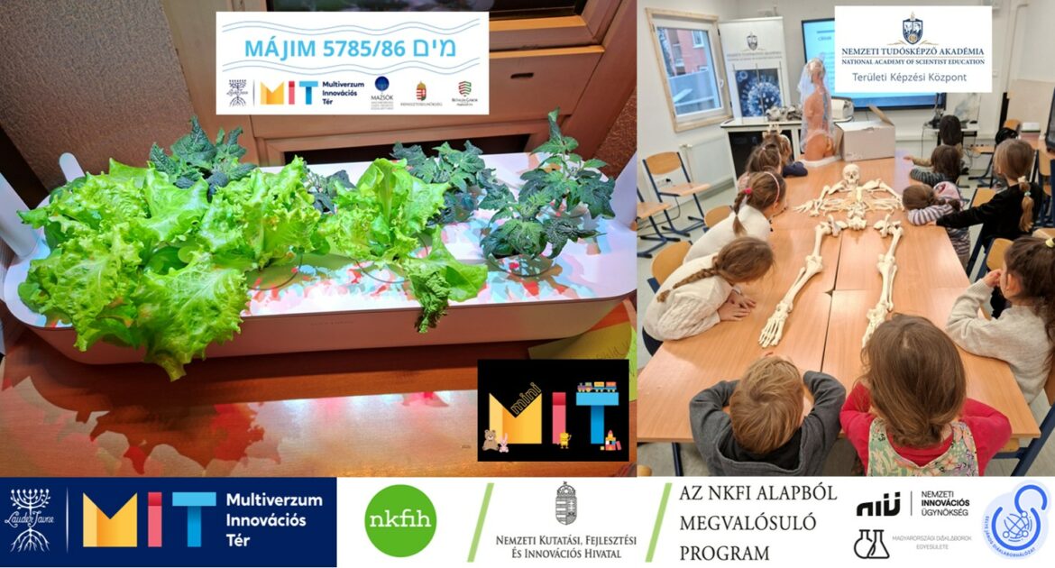 miniMIT #45 Salátakóstoló és csontvázkirakó