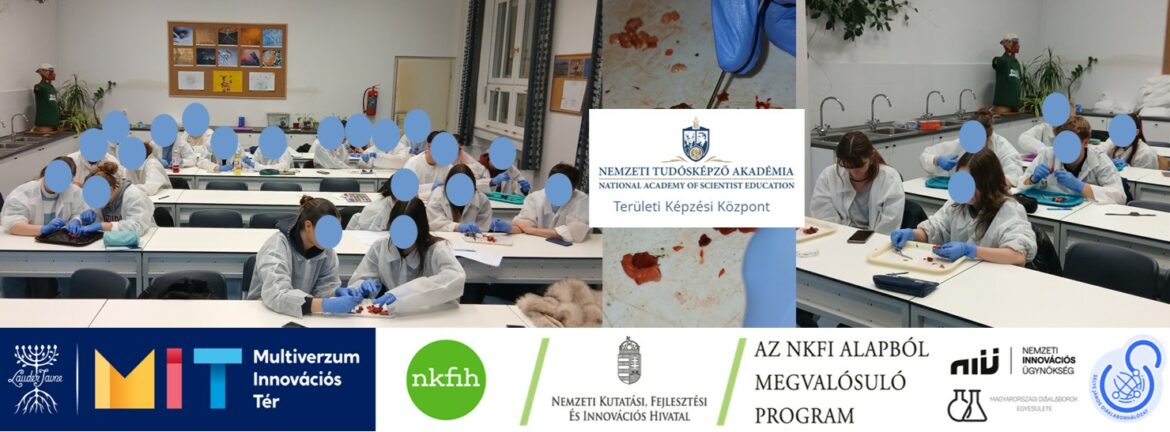 Nemzeti Tudósképző Akadémia: A pulykaszív rejtelmeiről a Radnótiban