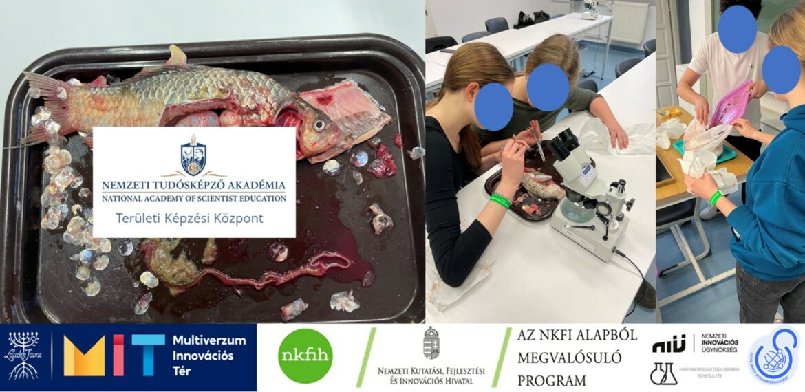 Nemzeti Tudósképző Akadémia: Halboncolás a Radnótiban