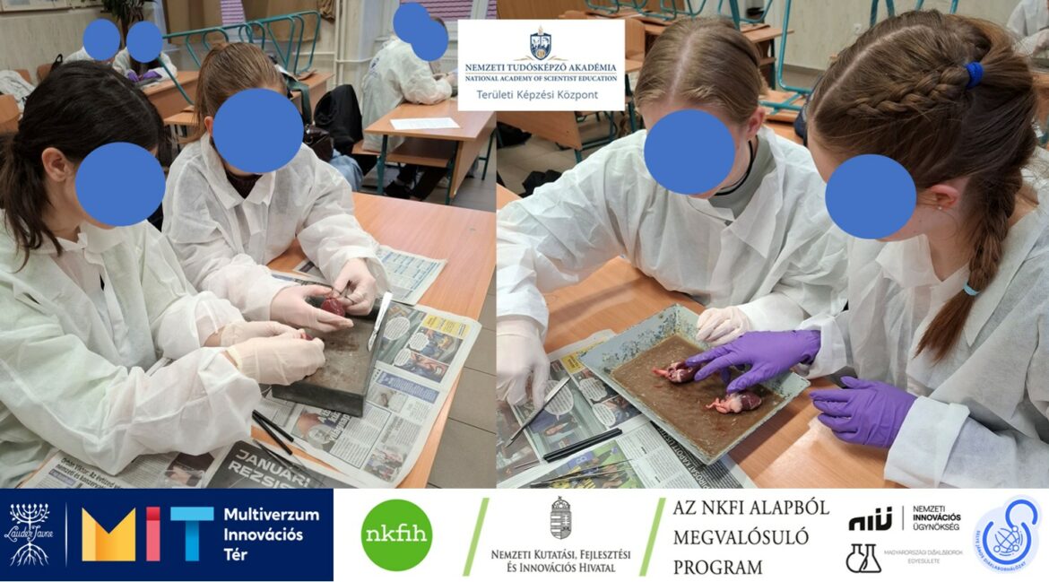 Nemzeti Tudósképző Akadémia: Pulykaszívet boncoltunk az Apáczaiban