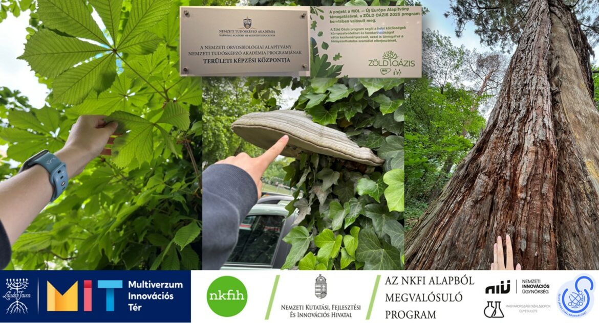 Nemzeti Tudósképző Akadémia: Botanikai gyakorlat a Lauder Biom Audio-tanösvényen